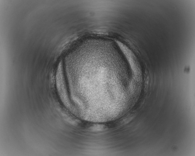 X0000112430609200909041438
