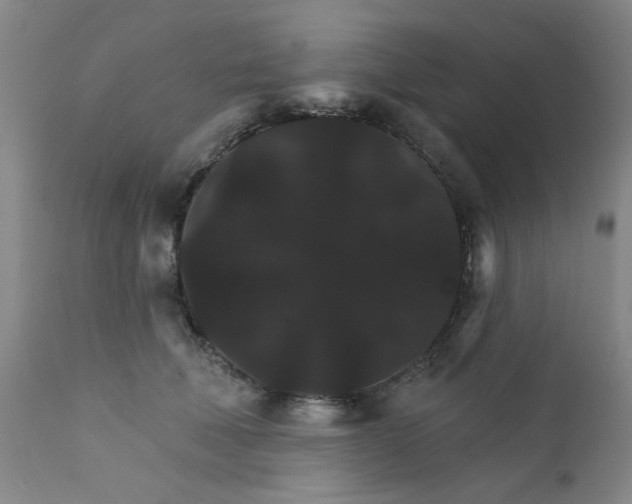 X0000112430610200909041438