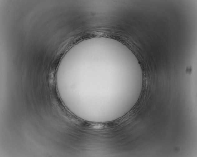 X0000112430611200909041438