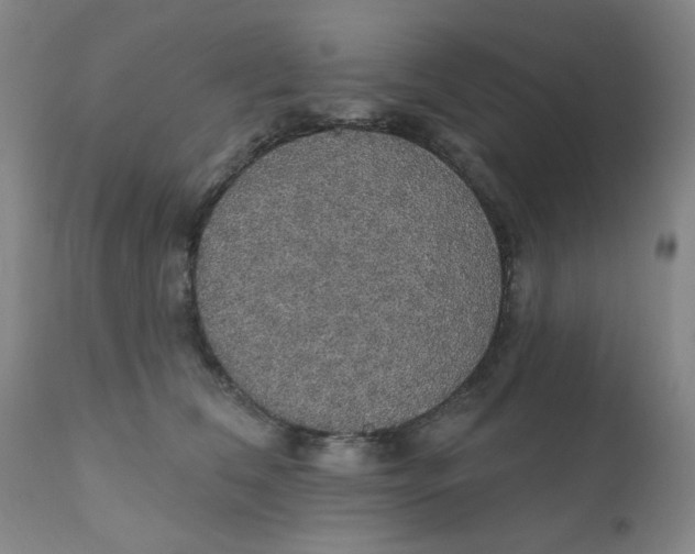 X0000112430612200909041438