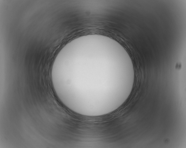 X0000112430613200909041438