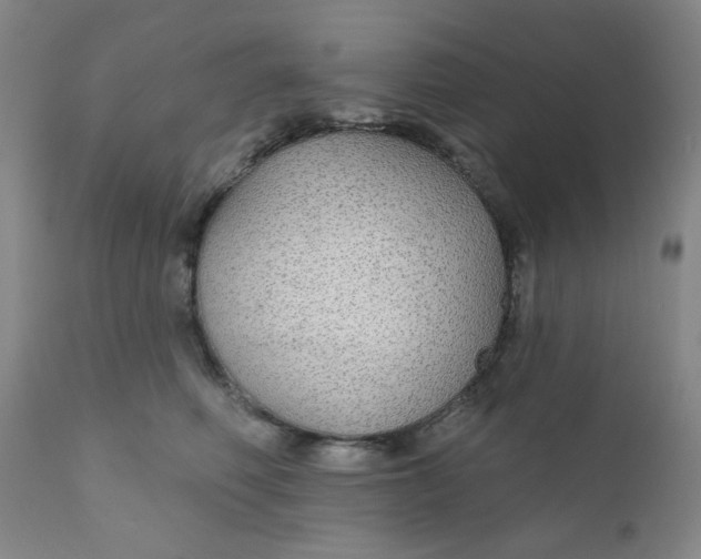 X0000112430614200909041438