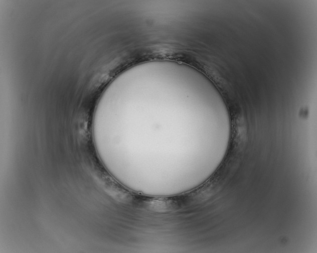 X0000112430615200909041438