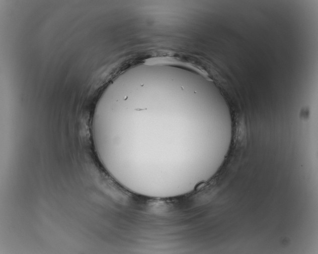 X0000112430616200909041438