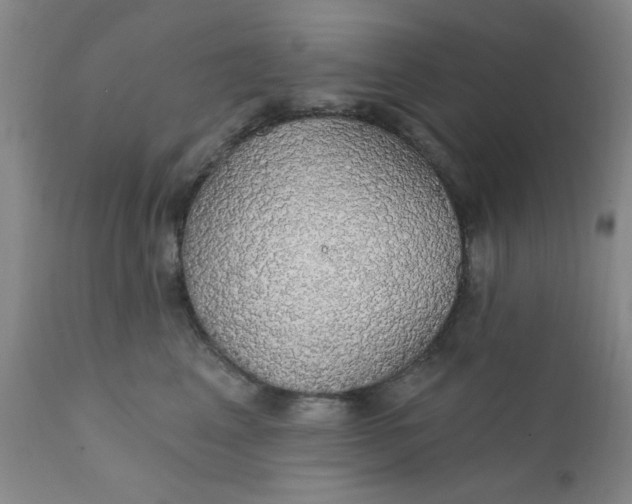 X0000112430617200909041438