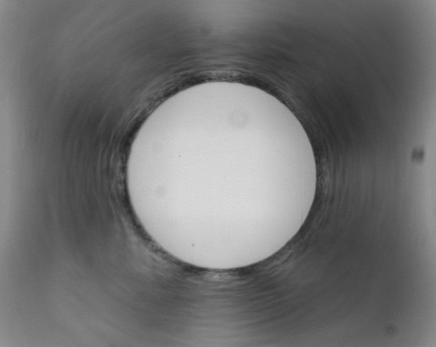 X0000112430619200909041437