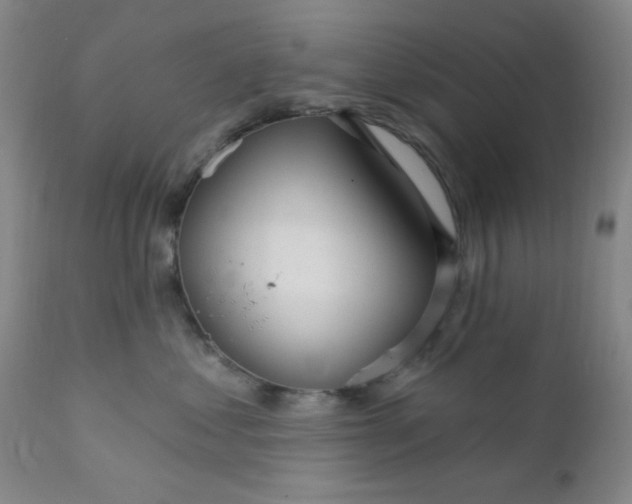 X0000112430621200909041437