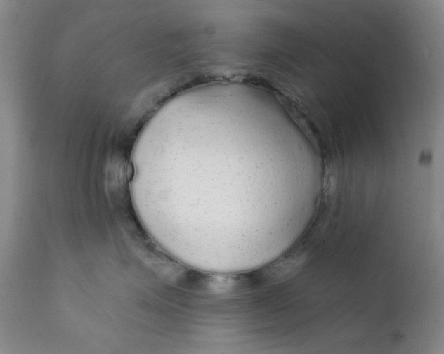 X0000112430623200909041437