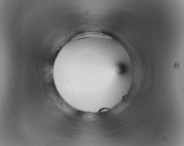 X0000112430624200909041437