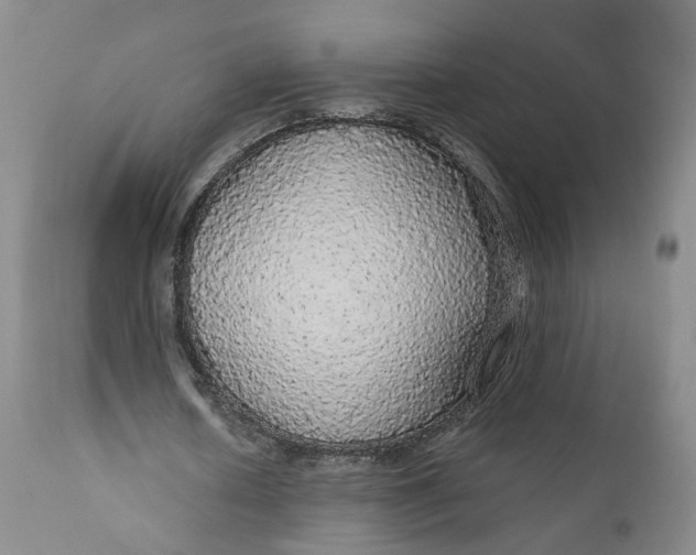 X0000112430626200909041437