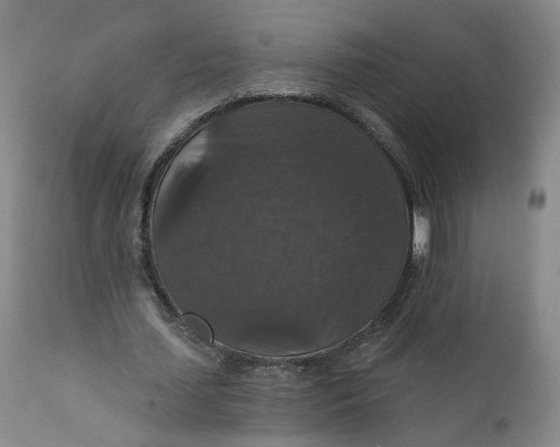 X0000112430627200909041437