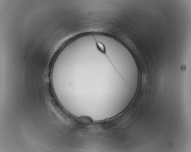 X0000112430628200909041437