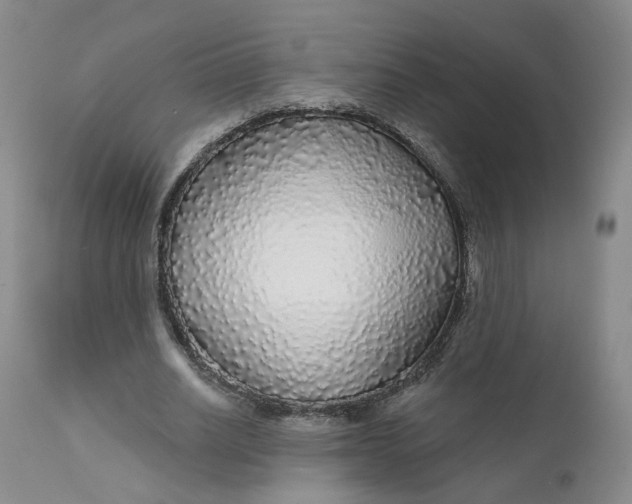 X0000112430630200909041437