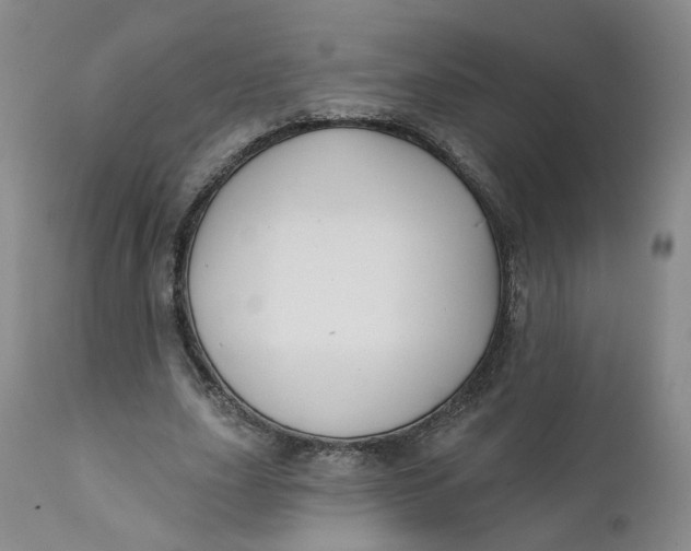 X0000112430631200909041437