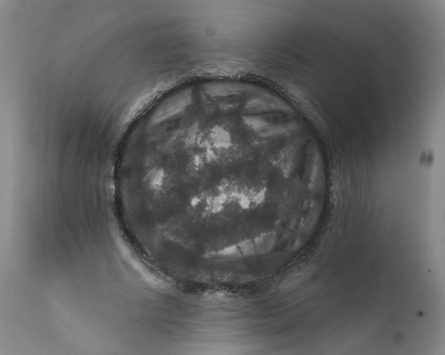 X0000112430634200909041437