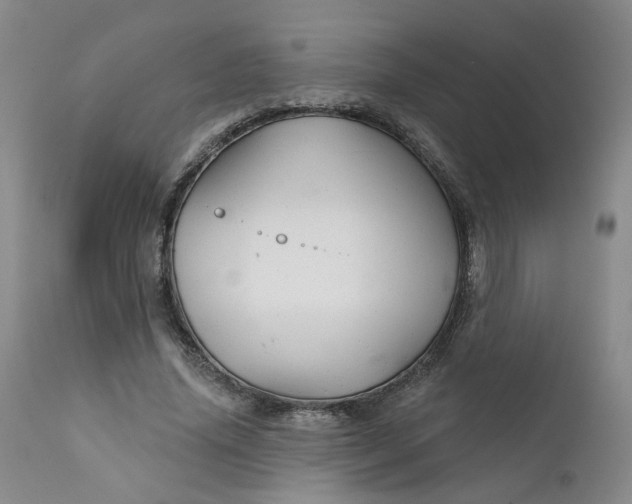 X0000112430636200909041437