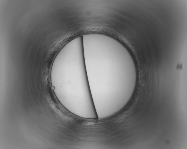 X0000112430637200909041437