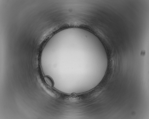 X0000112430638200909041437