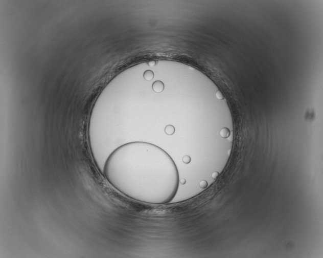 X0000112430639200909041437