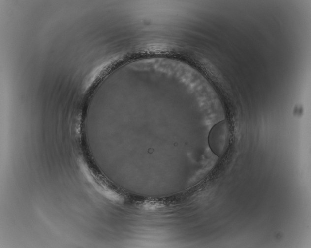 X0000112430640200909041437