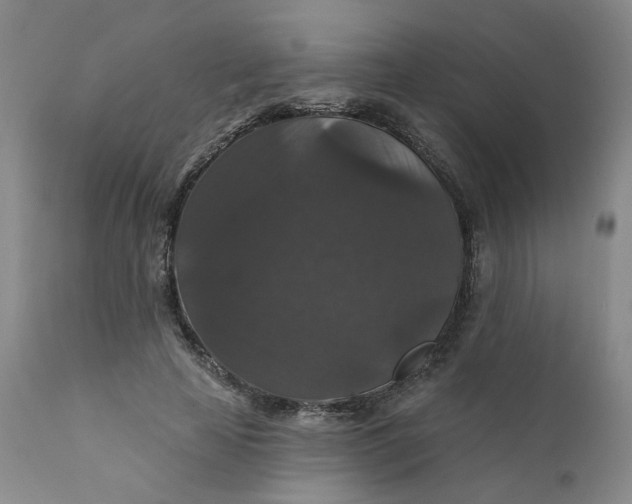 X0000112430641200909041437