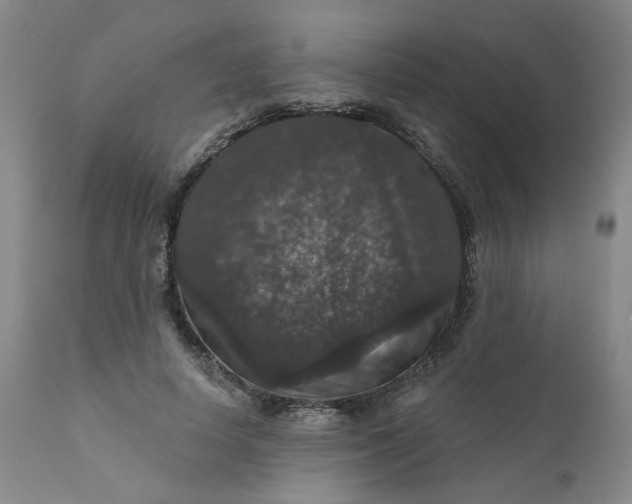 X0000112430642200909041437