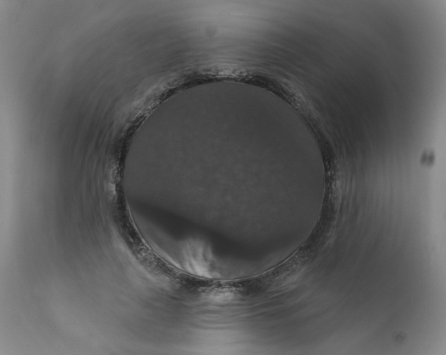 X0000112430643200909041437