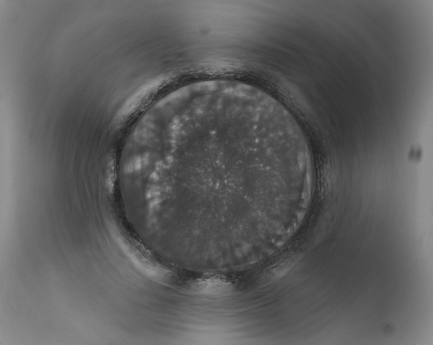 X0000112430644200909041437