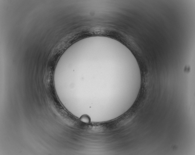 X0000112430645200909041437