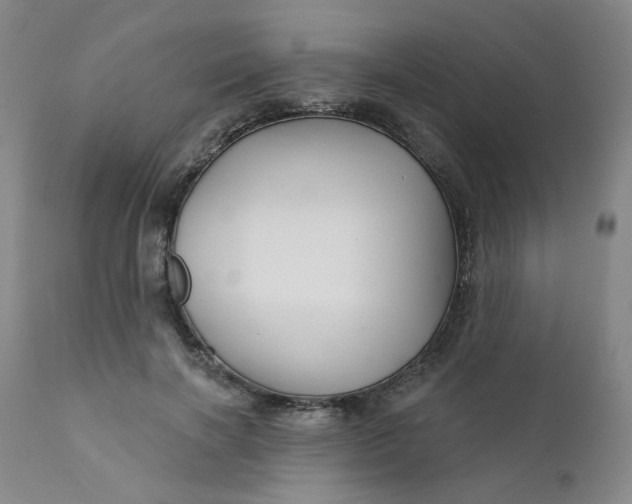 X0000112430646200909041437