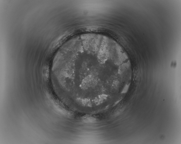 X0000112430648200909041437