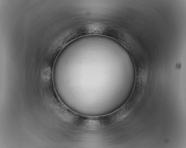 X0000112430649200909041437