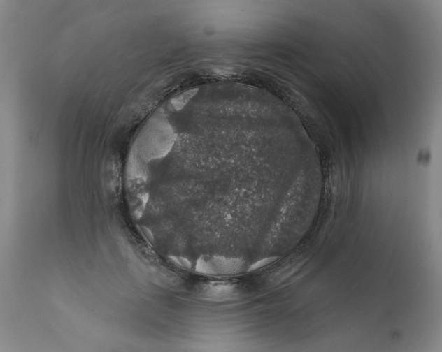 X0000112430651200909041437