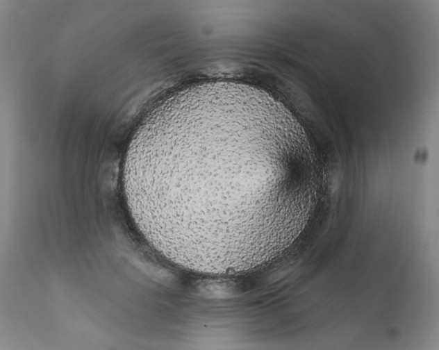 X0000112430652200909041437