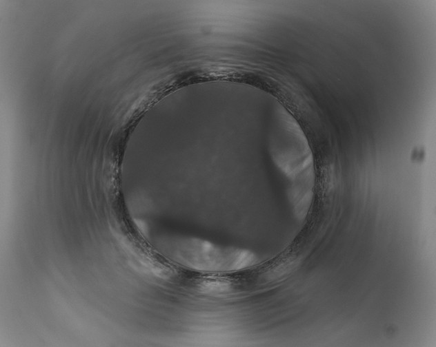 X0000112430653200909041437