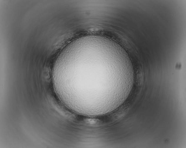 X0000112430654200909041437