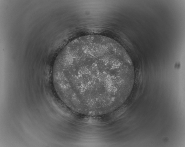 X0000112430655200909041437