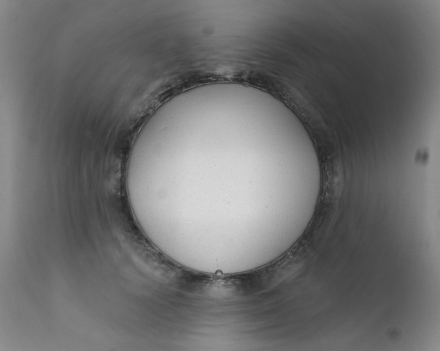 X0000112430656200909041437