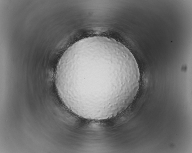 X0000112430657200909041437