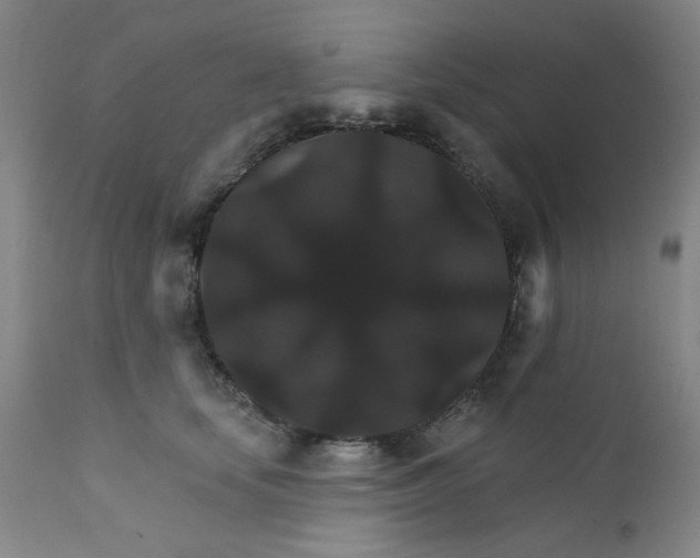 X0000112430659200909041437