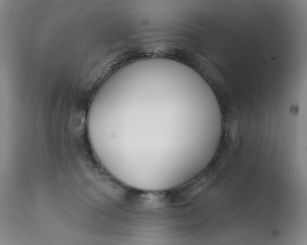 X0000112430660200909041437