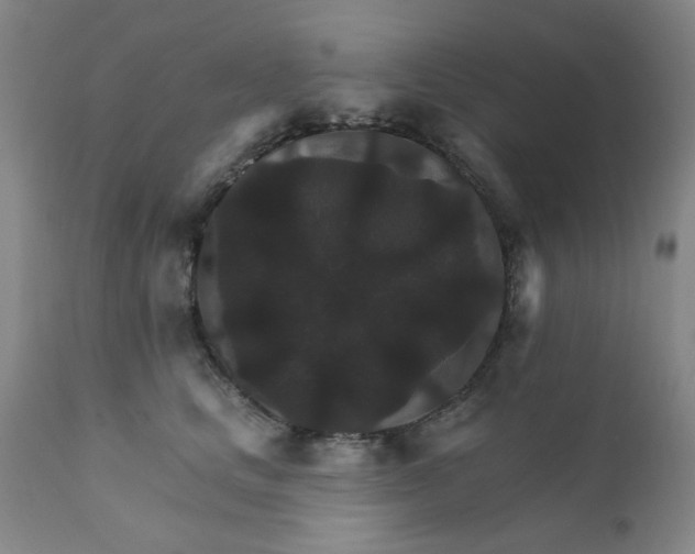 X0000112430661200909041437