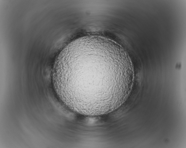 X0000112430662200909041437