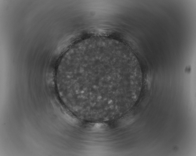 X0000112430663200909041437