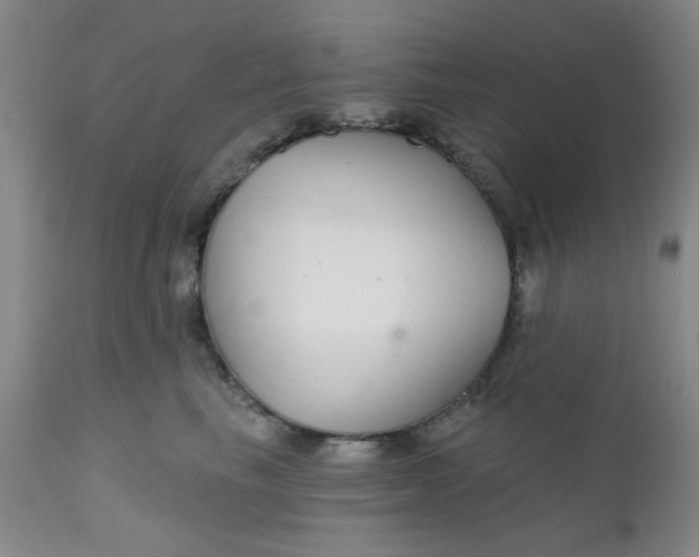 X0000112430665200909041437