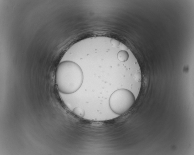 X0000112430666200909041437