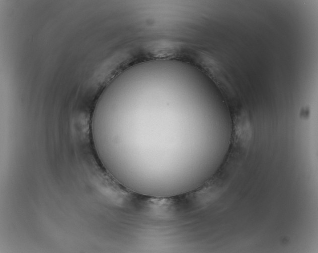 X0000112430667200909041437