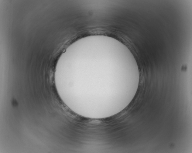 X0000112430669200909041437