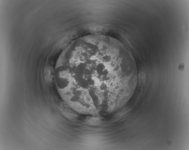 X0000112430671200909041437