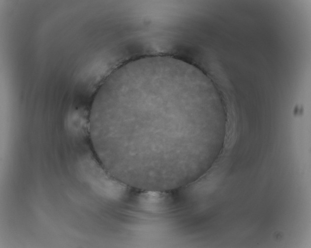 X0000112430672200909041437